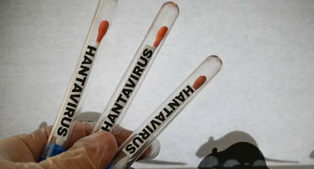 Argentina reporta aumento de casos de hantavirus