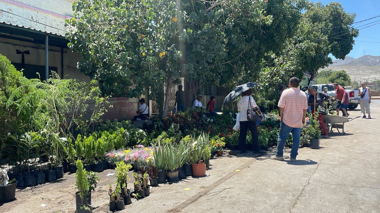 Refuerzan acciones de supervisión en panteones y áreas comerciales por el Día de las Madres