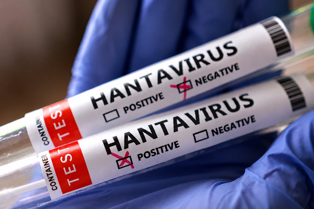 OMS confirma 6 contagios de hantavirus y 3 fallecidos en crucero del Atlántico