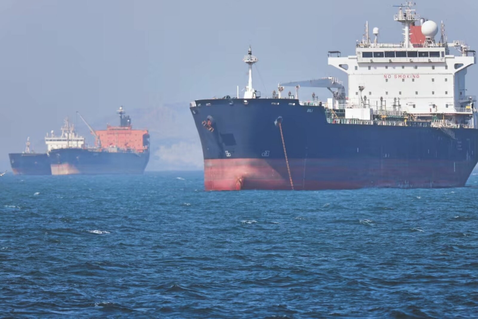 Director de la OMS llega a Canarias por crucero afectado con hantavirus