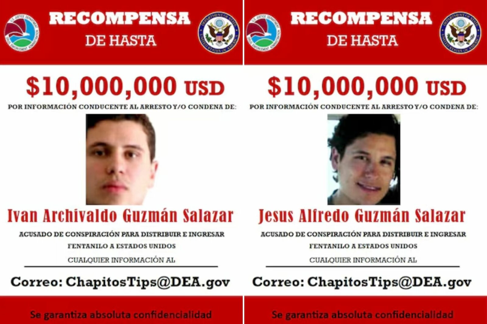 Los Chapitos :