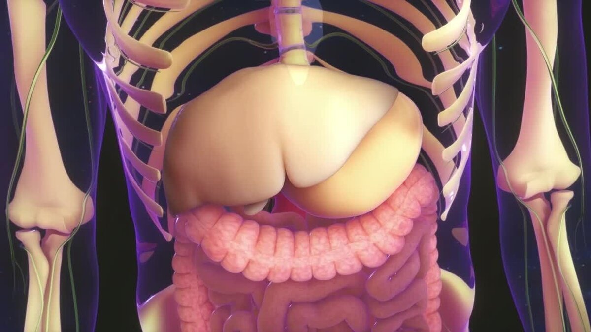 Qué ocurre en el cuerpo cuando el hígado deja de funcionar