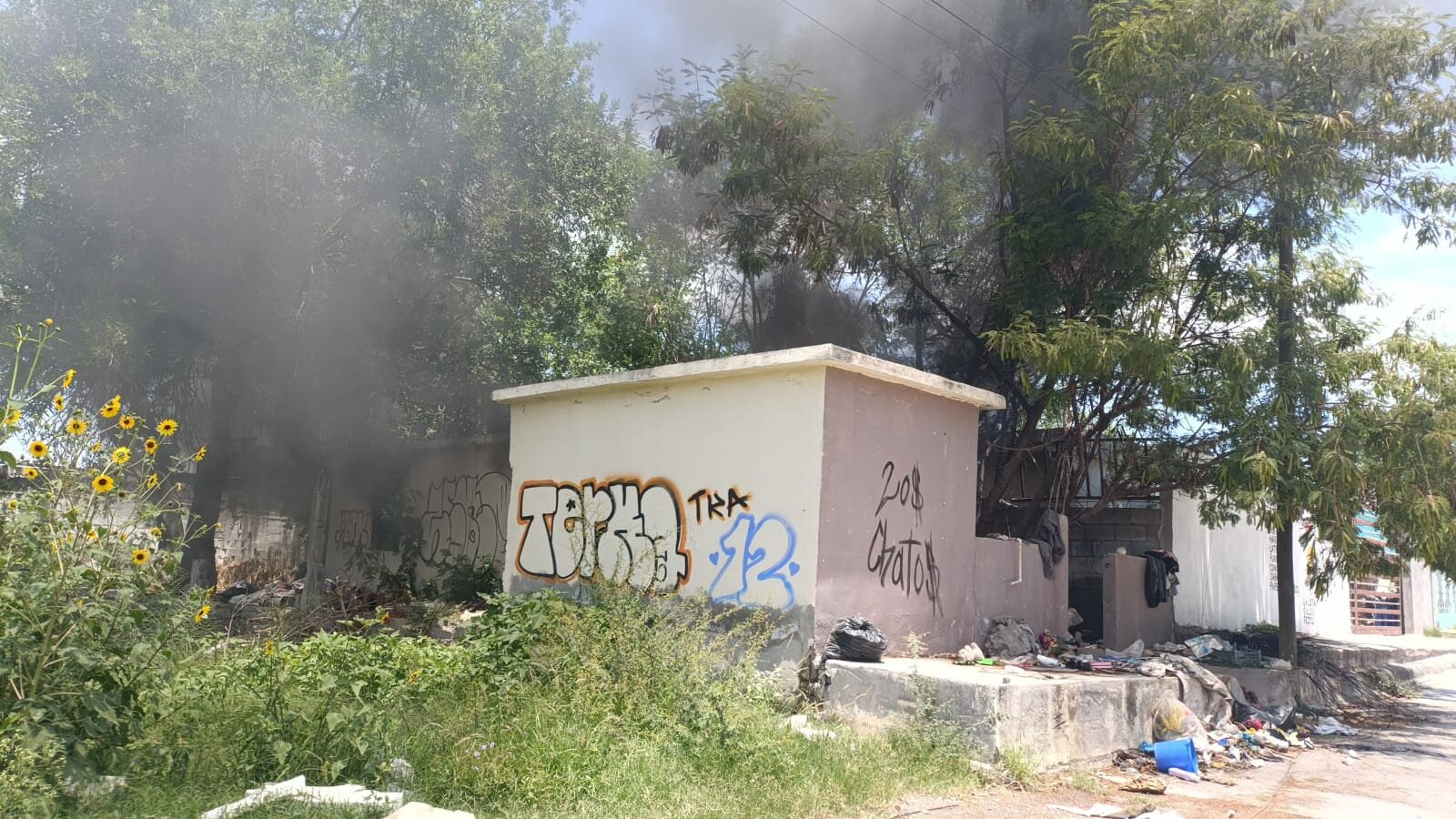 seguridad