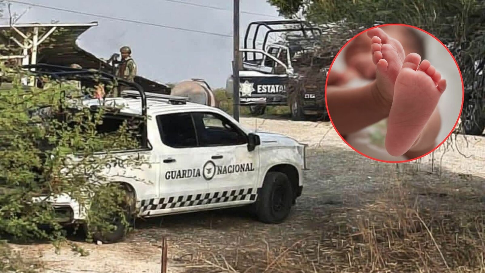 Masacre en Puebla: Fiscalía confirma bebé entre víctimas y apunta a ajuste de cuentas familiar