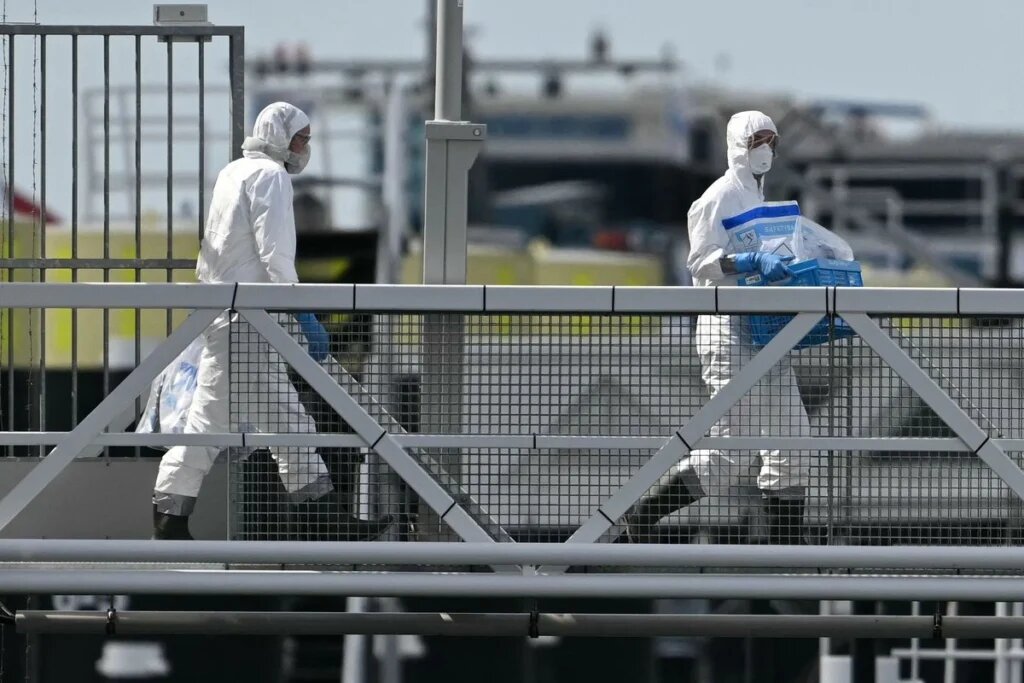 Adulto en Colorado muere por hantavirus, confirman autoridades