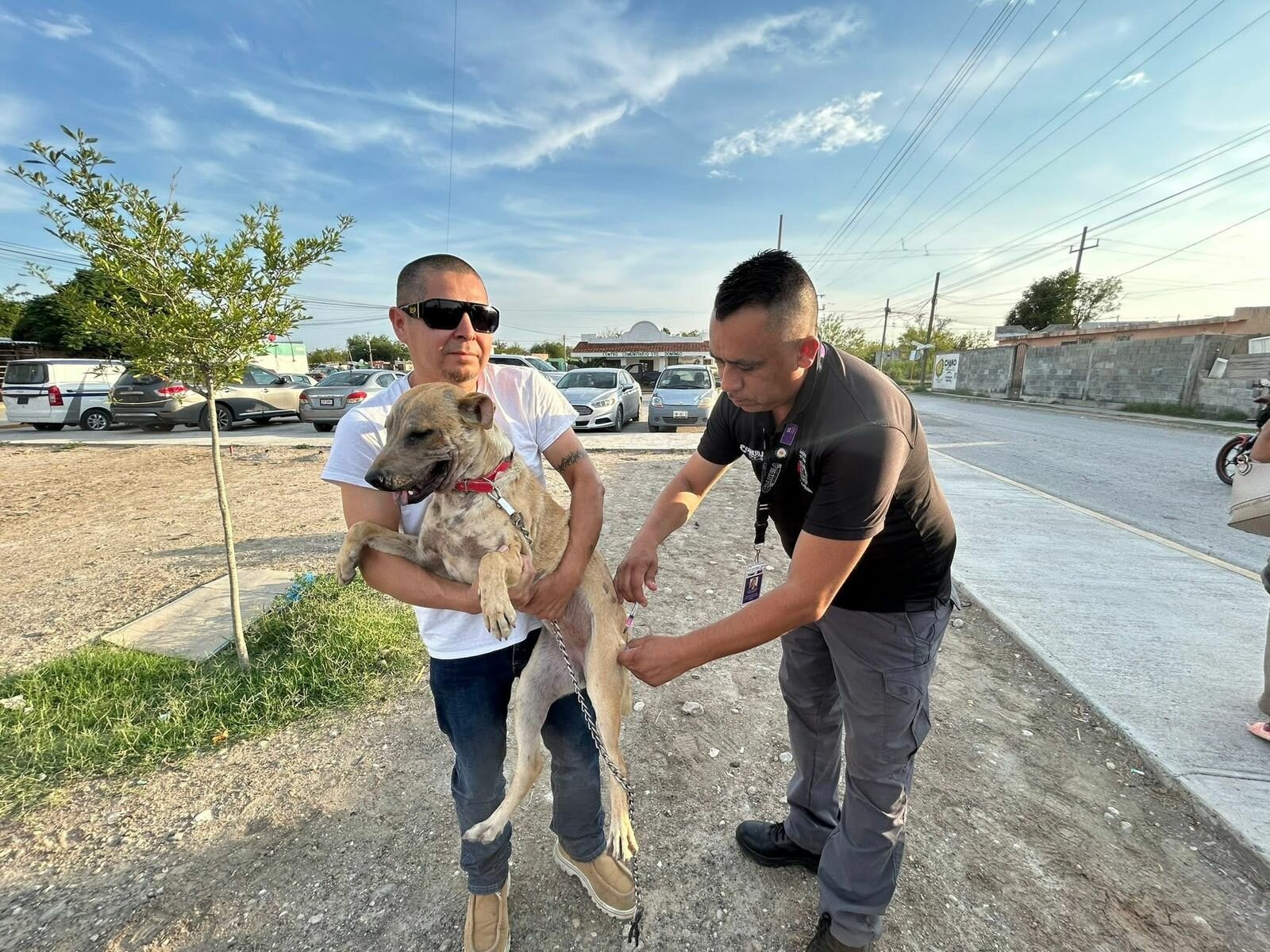Realizarán jornada gratuita de vacunación para mascotas en Villa de Palaú