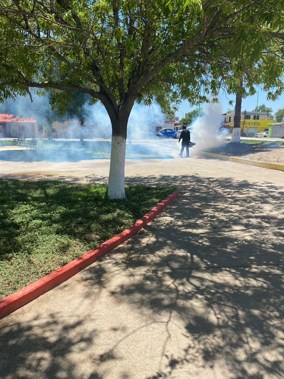 Dengue 
