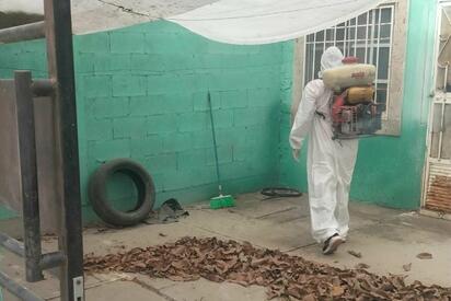 Protegen la salud pública con brigadas de fumigación y colocación de cebos para roedores en colonias de Torreón