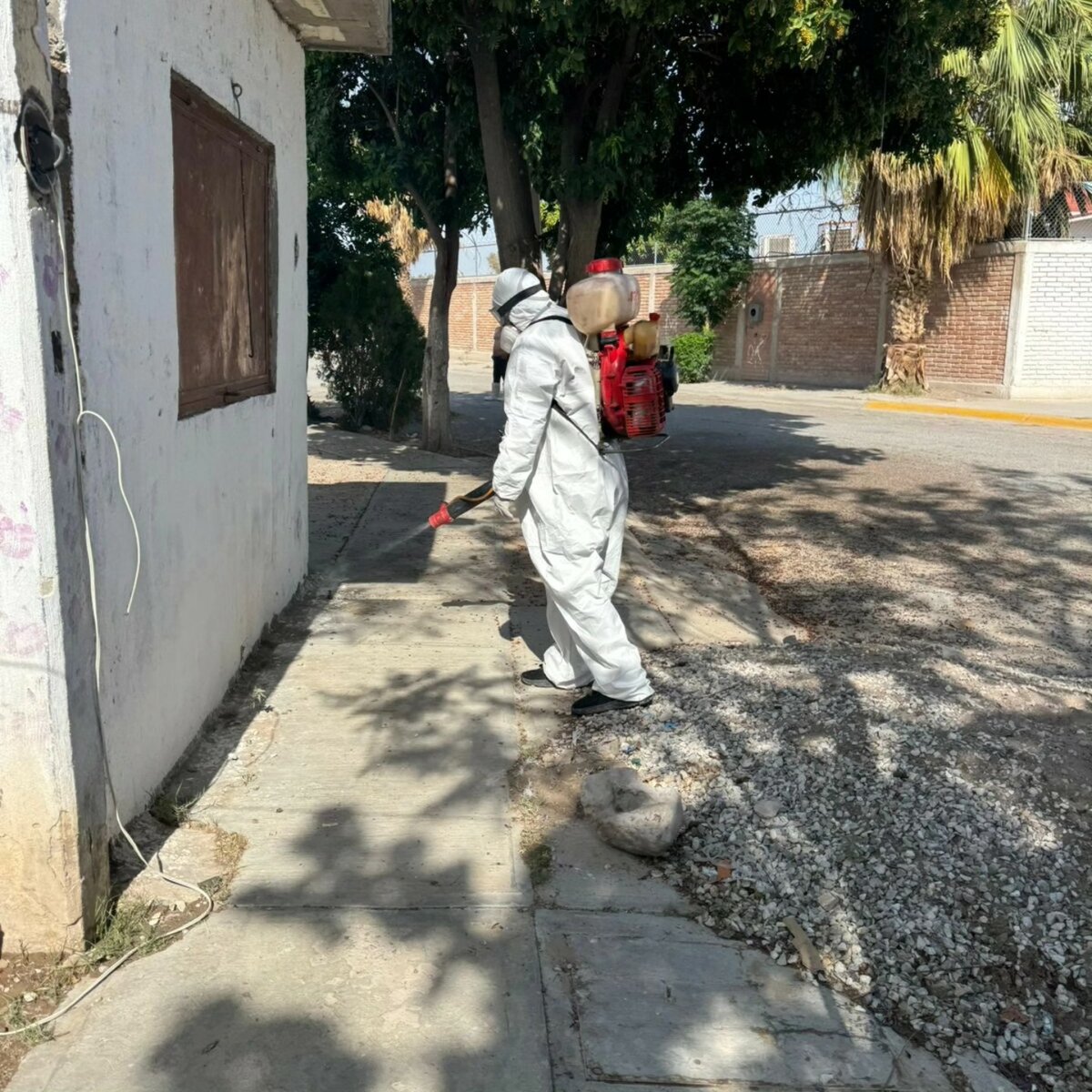 fumigación