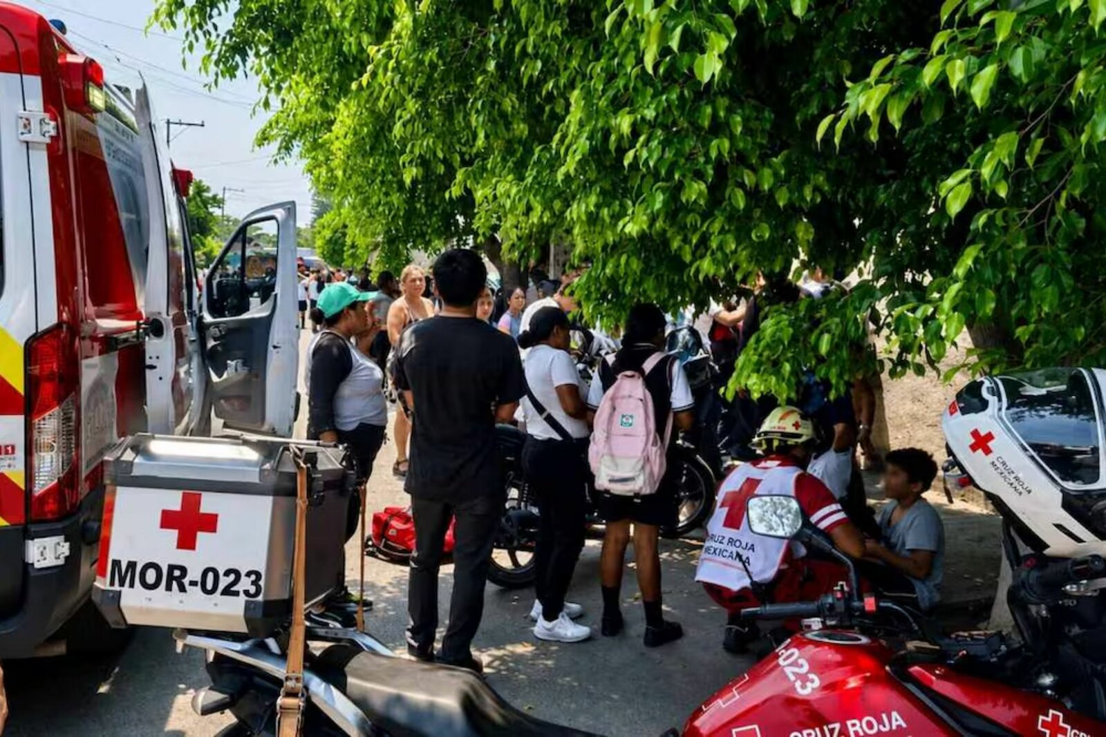 Ataque de abejas deja 9 alumnos hospitalizados en Cuautla, Morelos