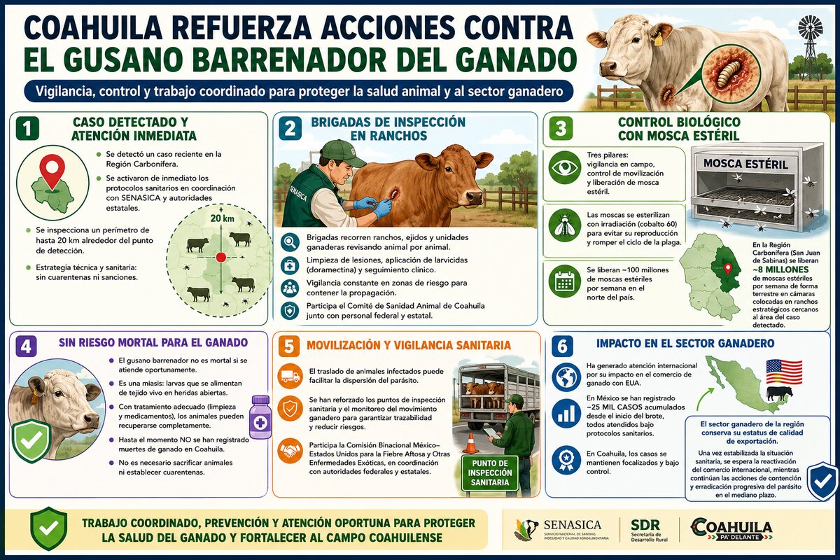 Ganadería