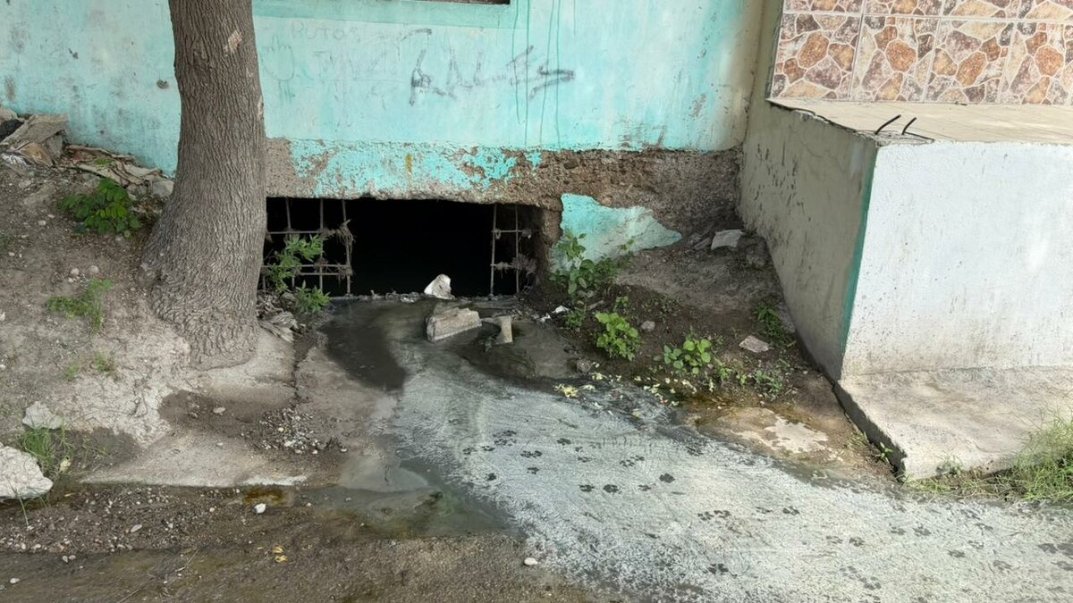 Derrames de aguas negras afectan a familias de la colonia Bravo