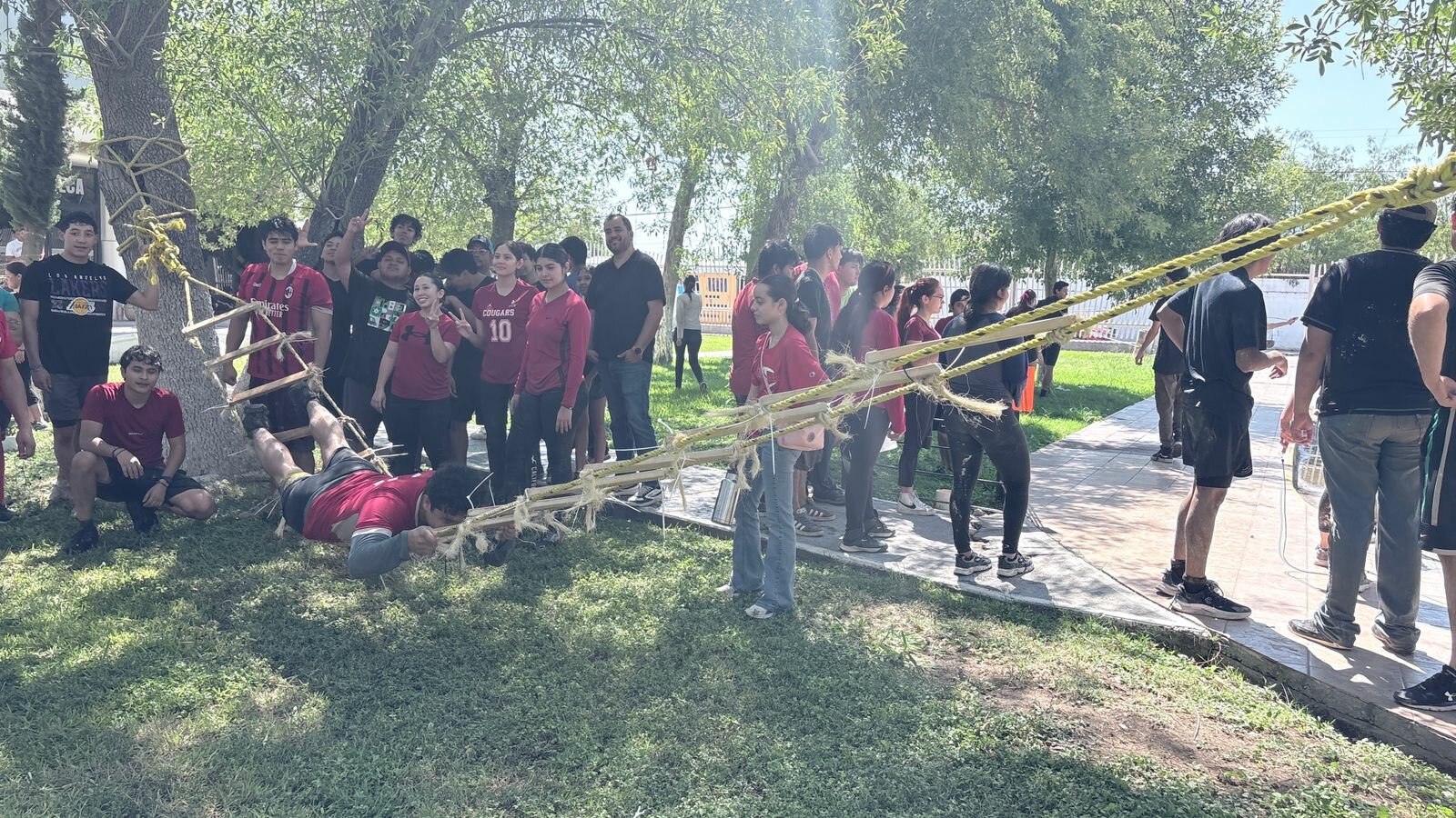 Actividad
