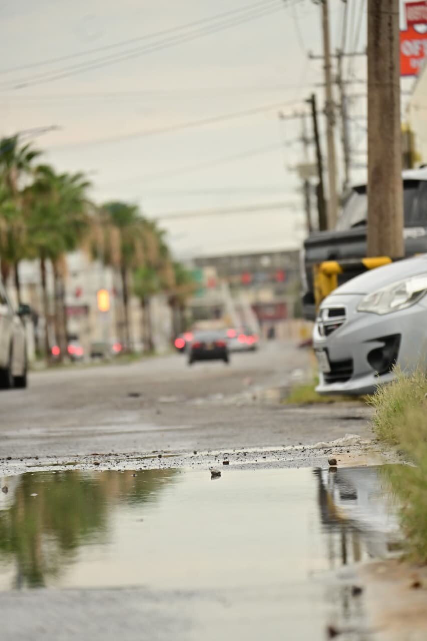 Baches 
