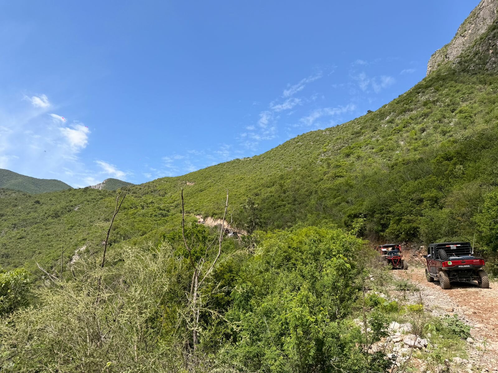 Aparentemente cuatro personas pierden la vida en accidente aéreo en Sierra de Múzquiz