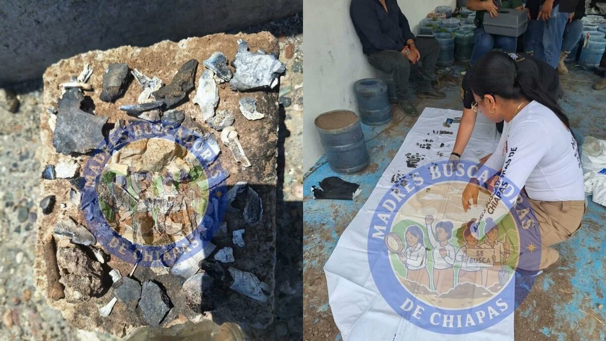 Madres Buscadoras hallan restos óseos en Chiapas