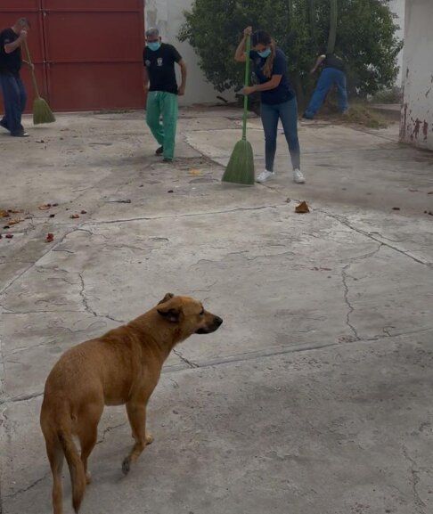 Autoridades y centros de rehabilitación suman esfuerzos para proteger el bienestar animal