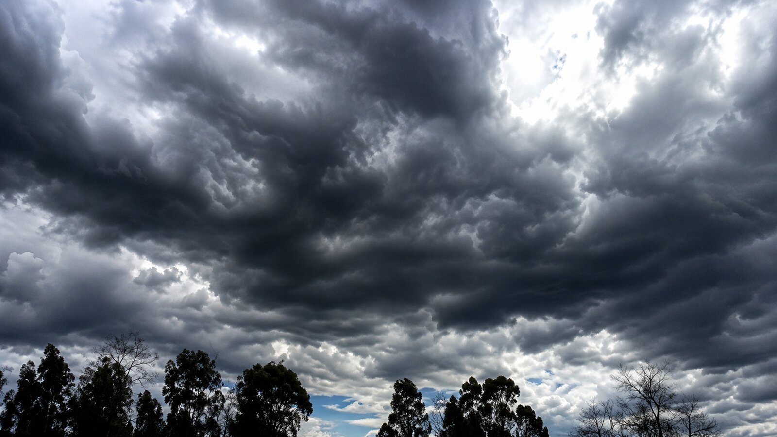 Prevén chubascos y tormentas en la Región Carbonífera
