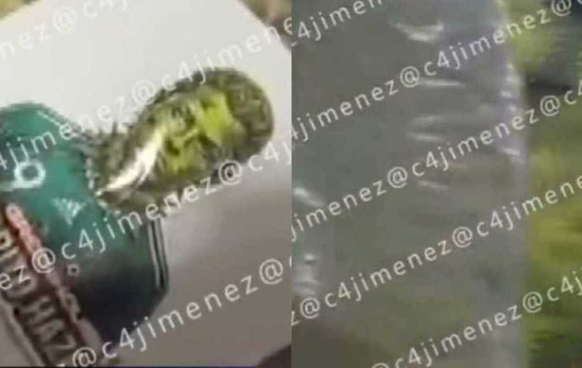 CJNG usaba imágenes de famosos para identificar cargamentos
