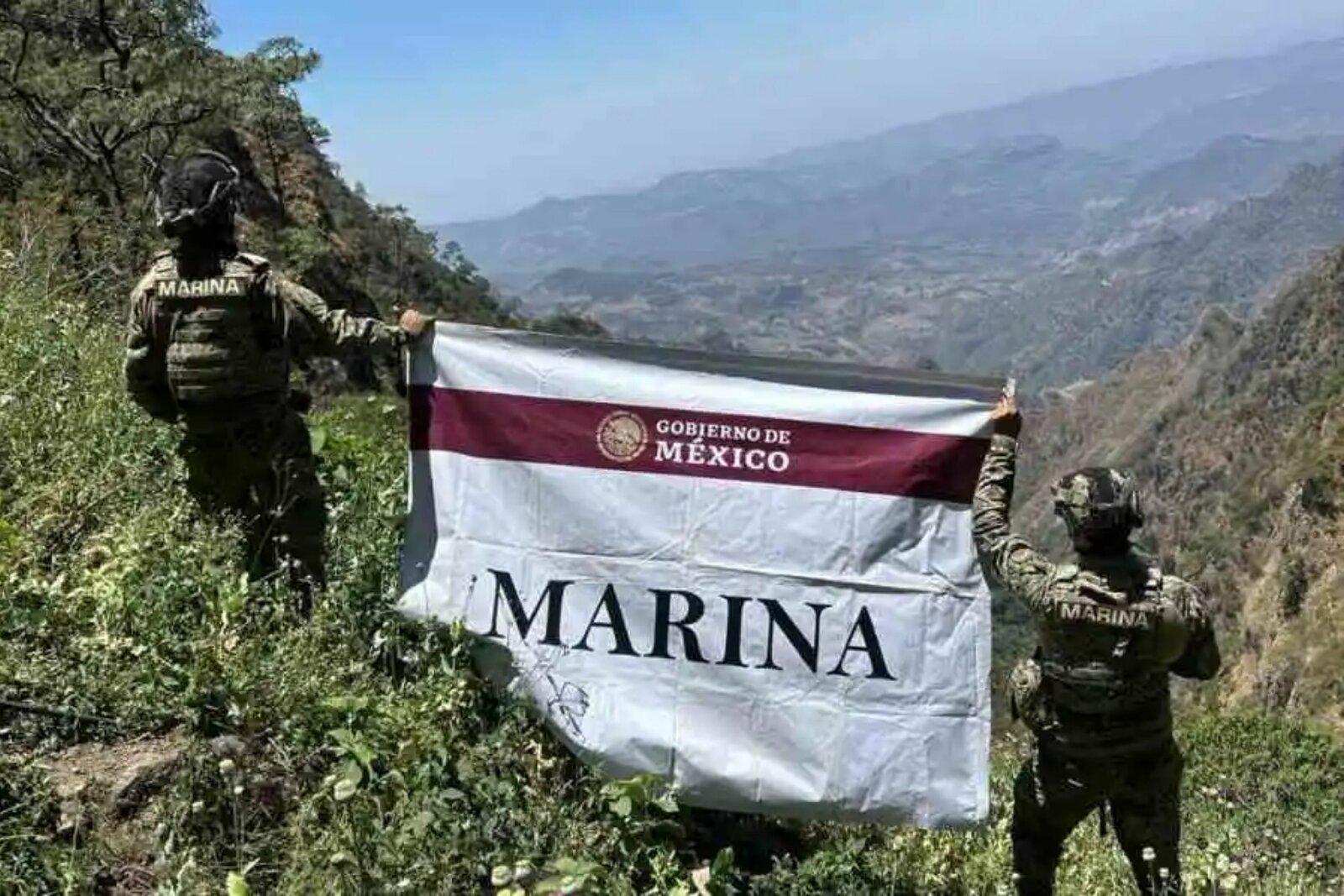 seguridad: 
