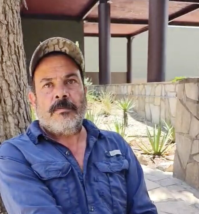 Disminuyen avistamientos de osos en Saltillo