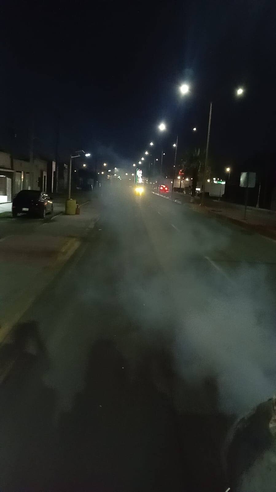  dengue 