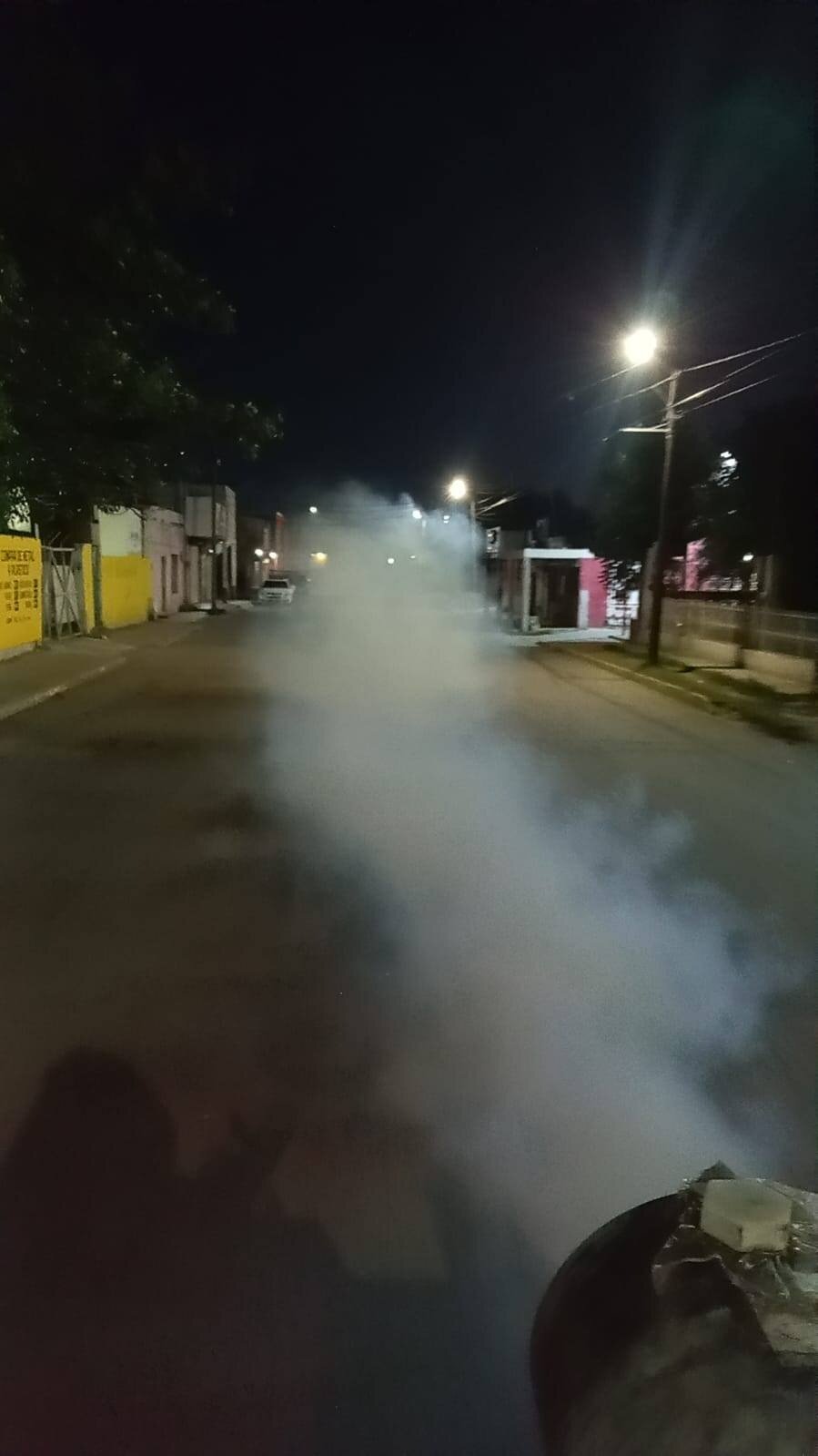  dengue 