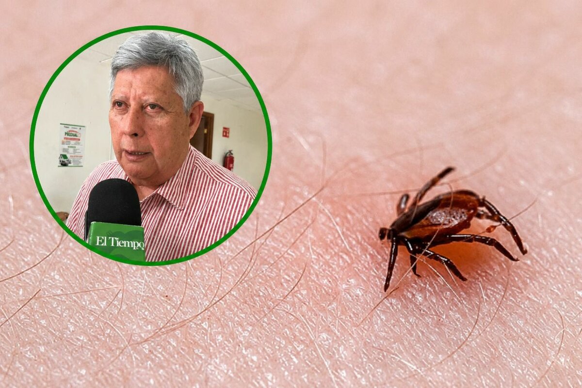 rickettsiosis rickettsiosis