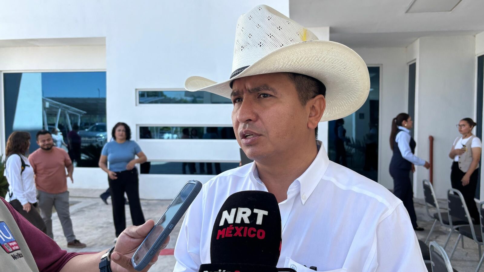 Gusano barrenador