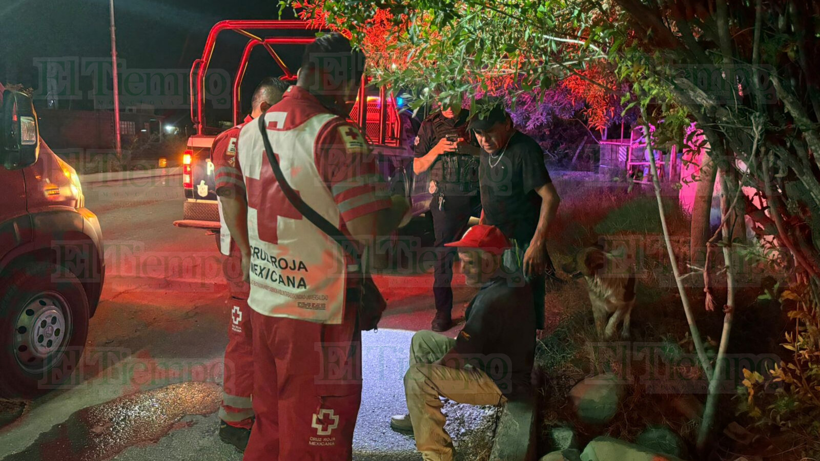 Seguridad