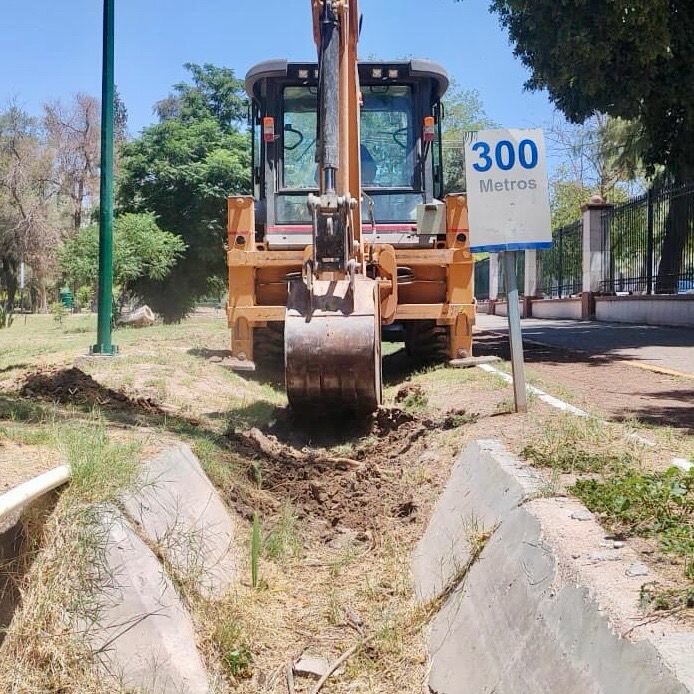 reforestación