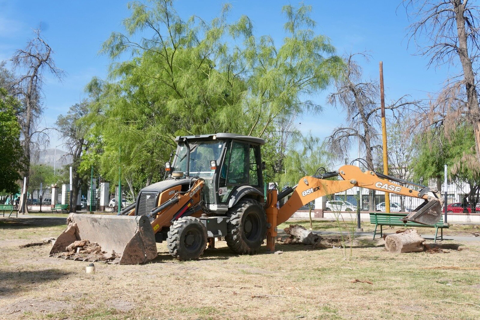 reforestación