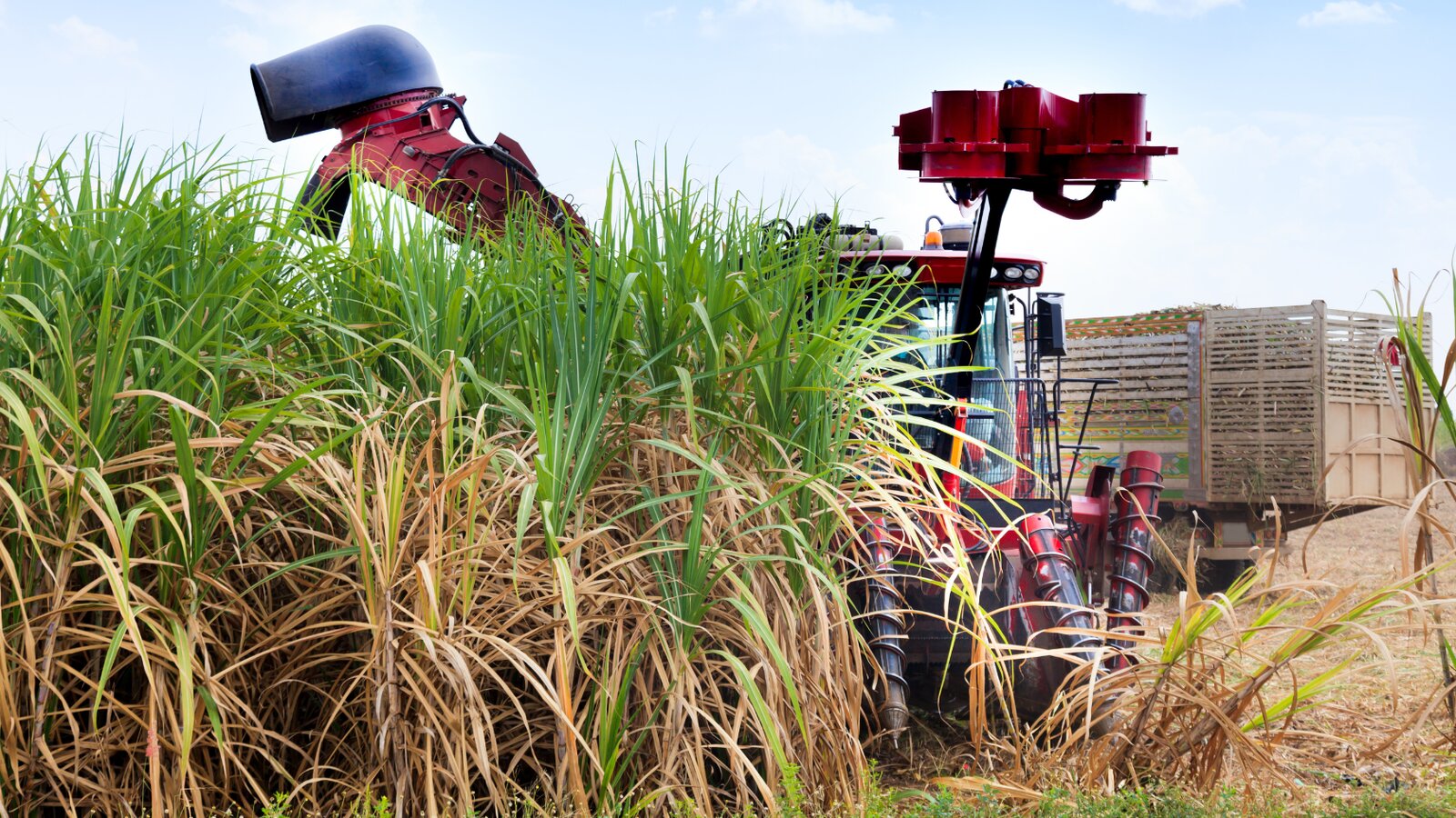 Mercado del azúcar repunta ante menor producción esperada en Brasil