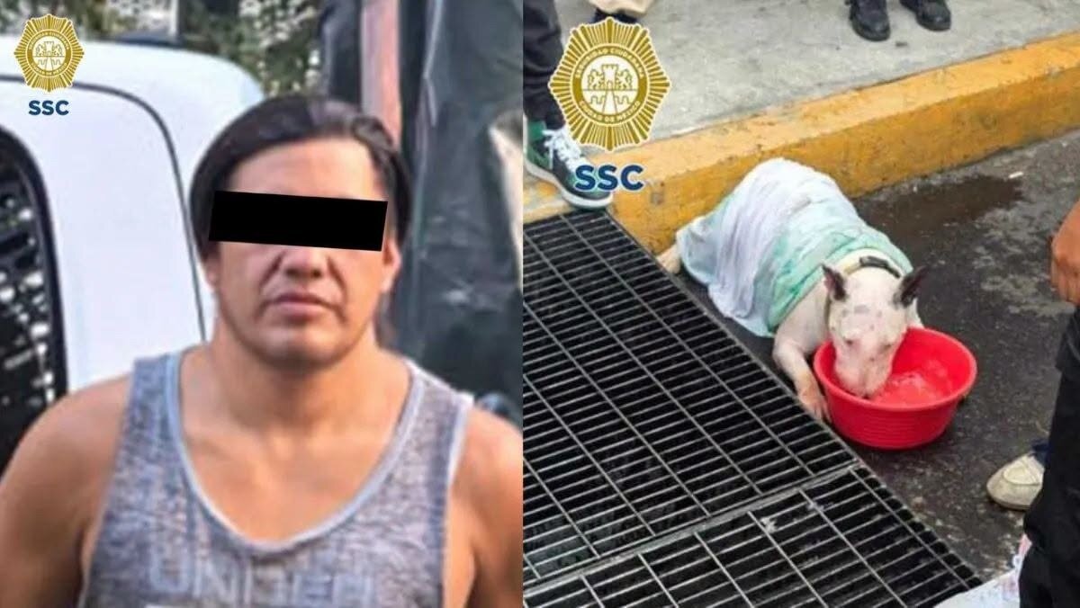 Encerró a sus perros en una camioneta y uno murió; terminó detenido