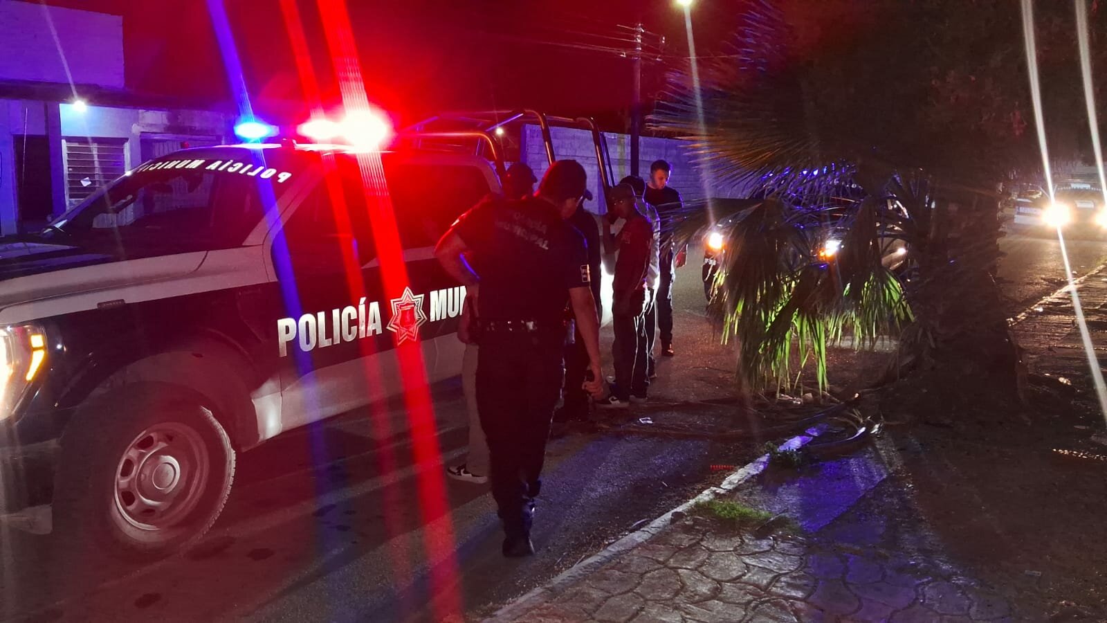 seguridad