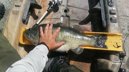Pesca deportiva impulsa cuidado y turismo en Sabinas