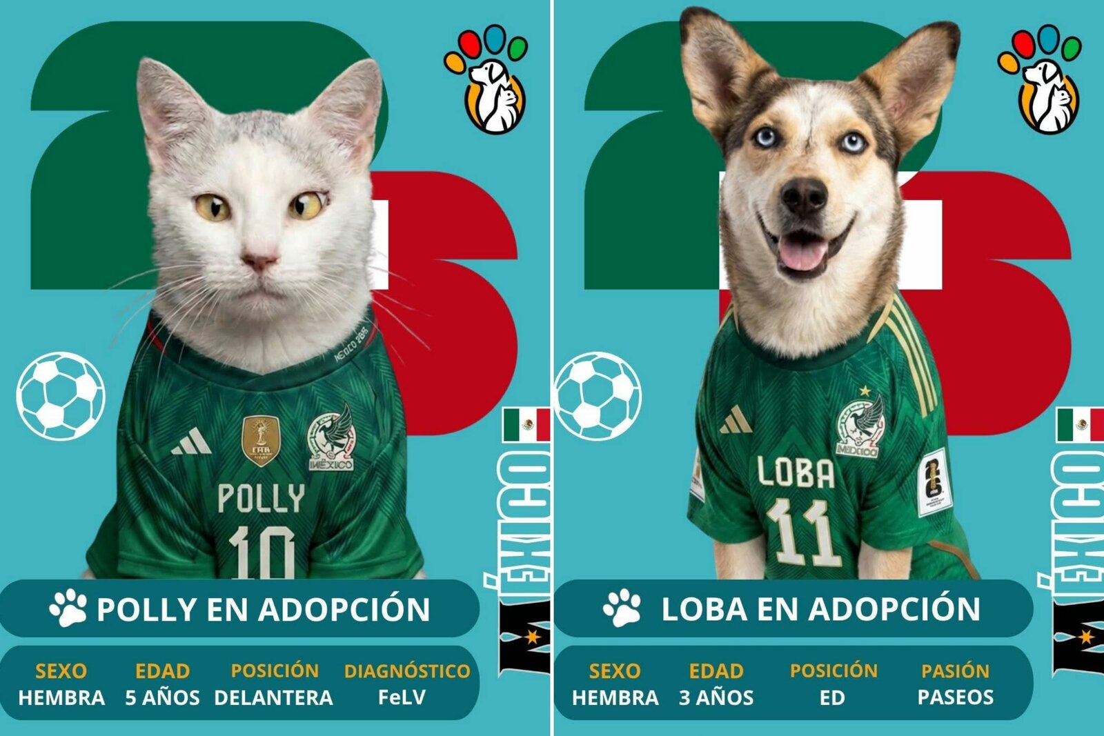 El mensaje central de la estrategia busca fortalecer la cultura de la responsabilidad entre quienes desean tener una mascota.   Con una dinámica inspirada