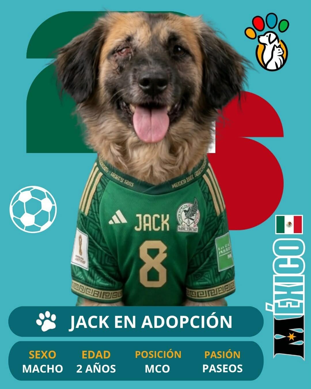Adopción