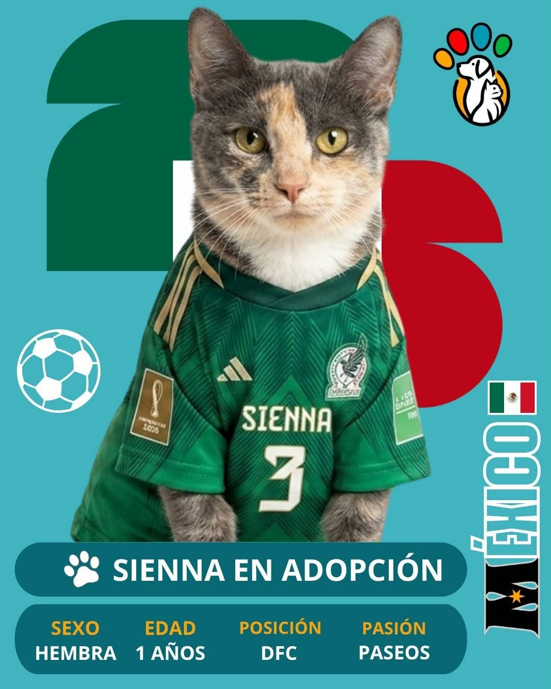 Adopción
