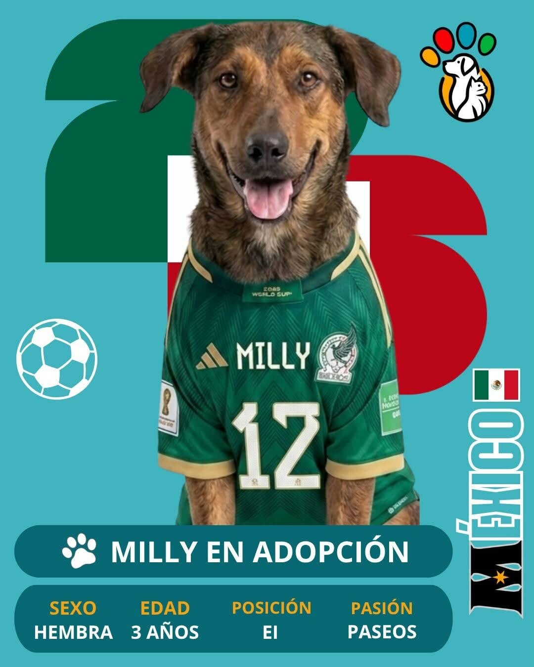 Adopción