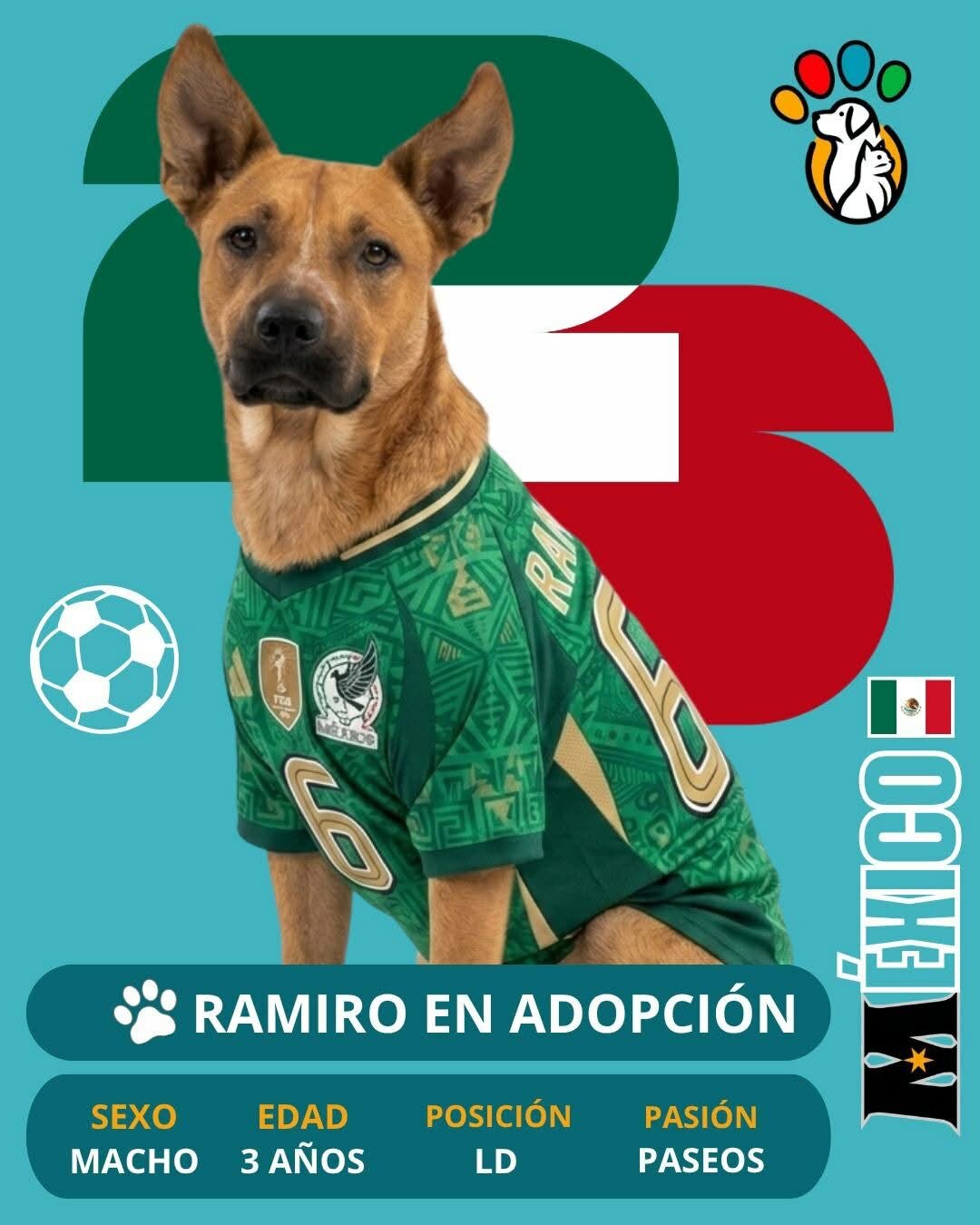 Adopción