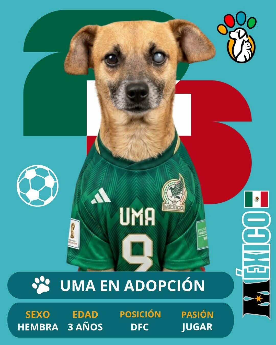 Adopción