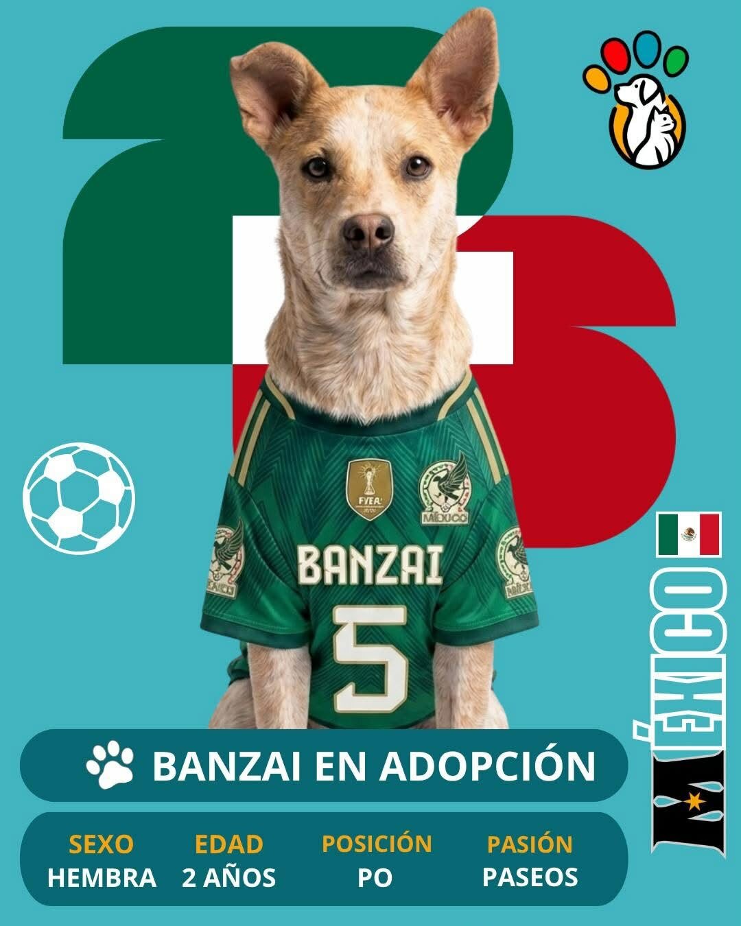 Adopción
