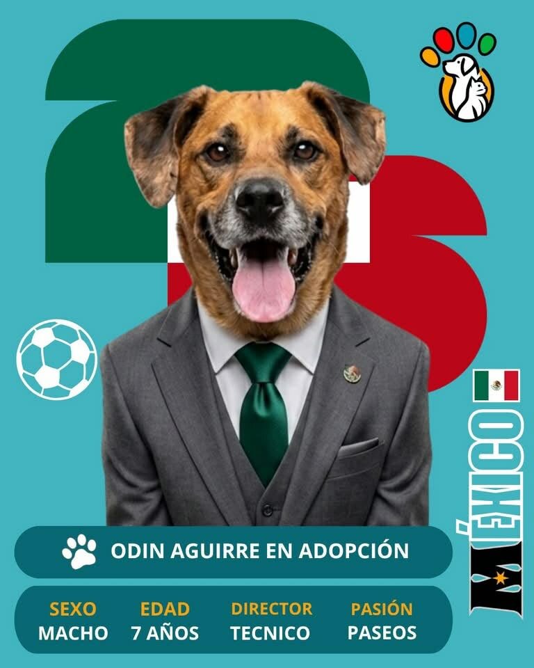 Adopción
