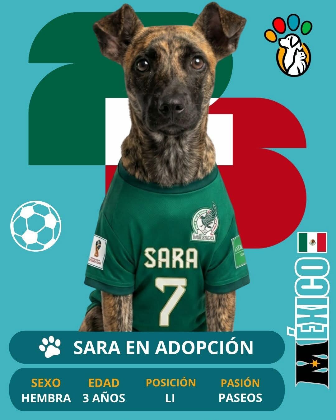 Adopción