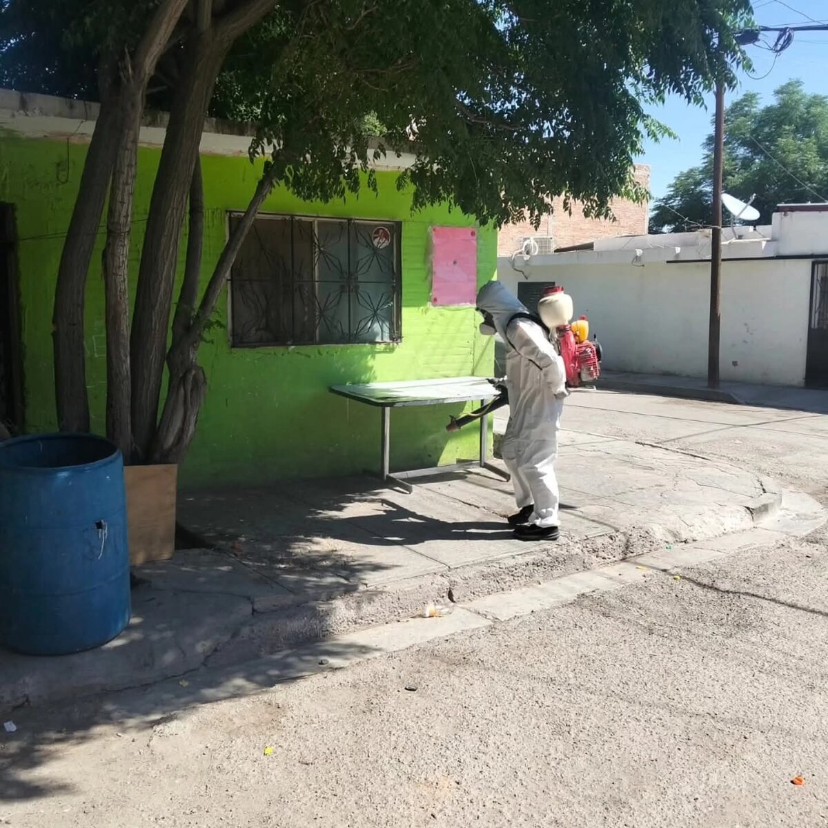 Refuerzan acciones de prevención y control de vectores y plagas