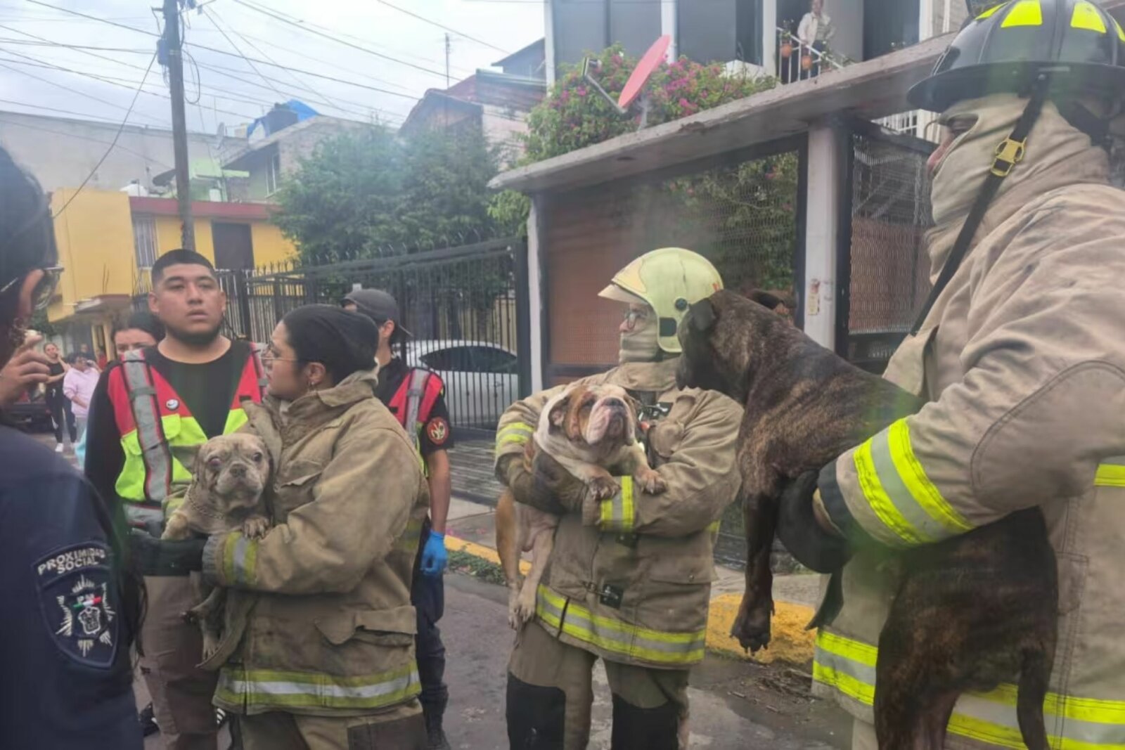 seguridad