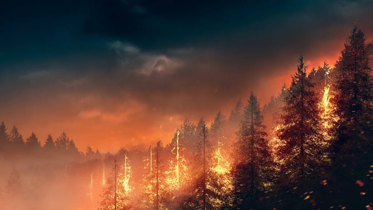 Partículas de humo ultrafinas de incendios forestales pueden suponer graves riesgos
