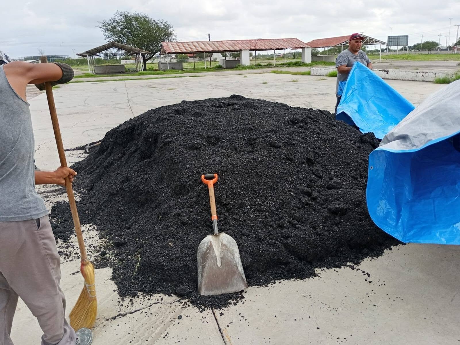 Bacheo