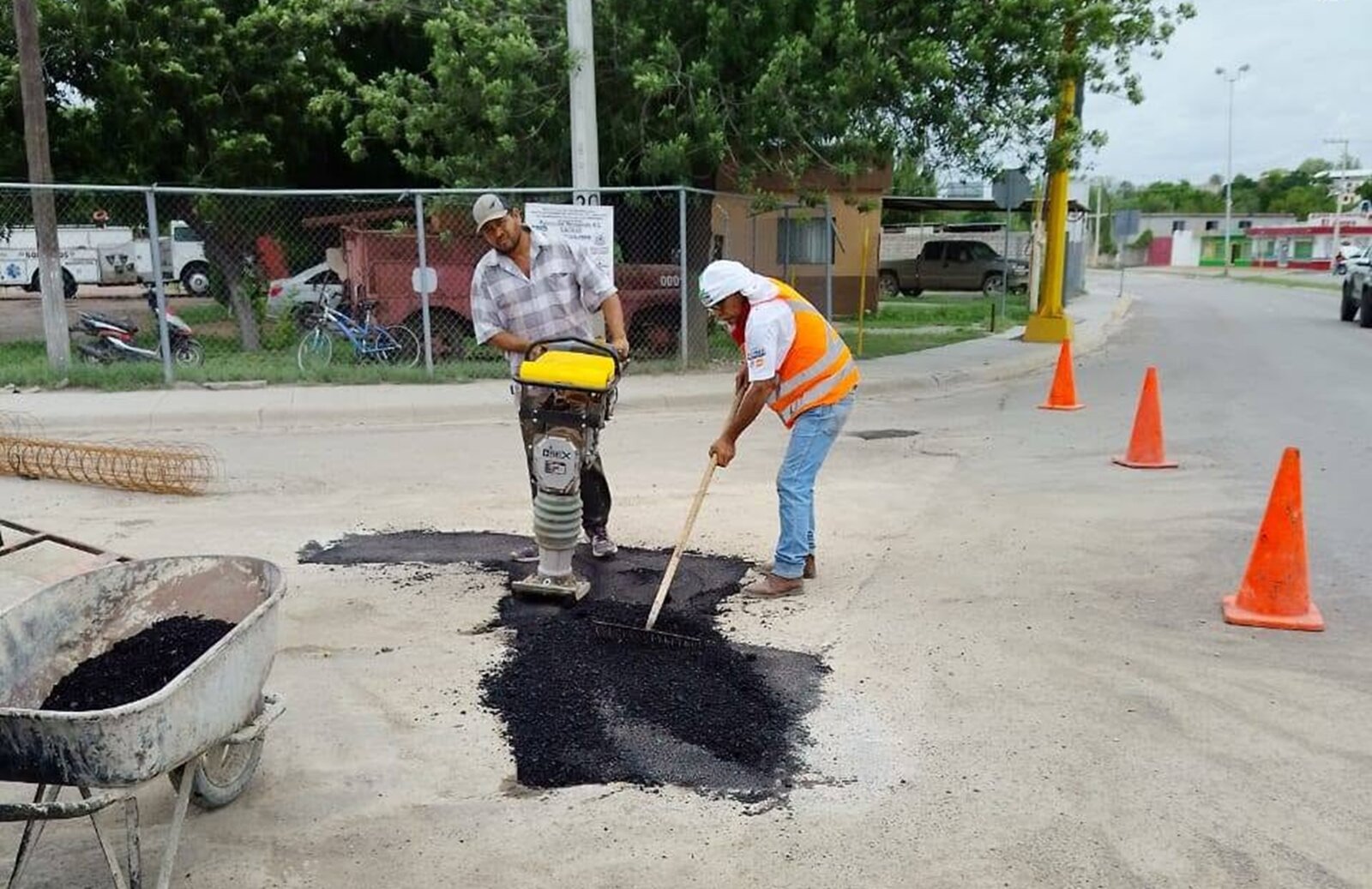 Bacheo